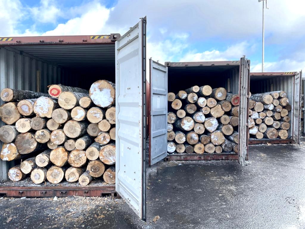 РТСБ-РУС начала мультимодальные перевозки круглого леса  из Ярославской области в г. Циндао